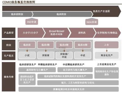 乘势站上风口赛道跑出加速度 细数中国10家本土CDMO领军企业